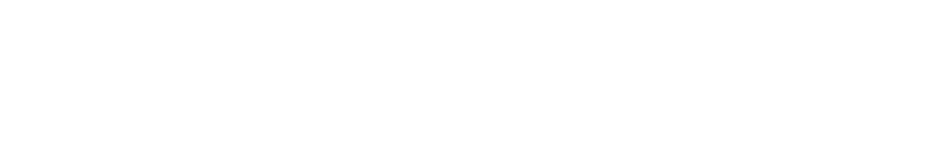 AI Lead Page logo - white